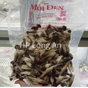Nấm mối đen sinh khối tươi 0.5kg loại 2 – HP Long An