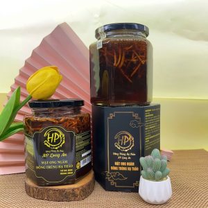 Mật Ong Ngâm Đông Trùng Hạ Thảo hộp 380ml – HP Long An